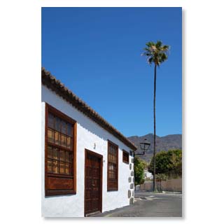 Richtung Barranco de las Angustias fhrt die kleine Calle Conrado Hernndez und eine Palme, die als statisches Wunder erscheint.