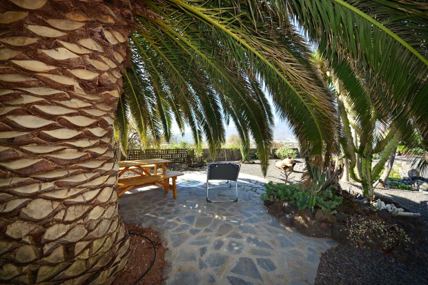 Palmenbeschattete Terrasse