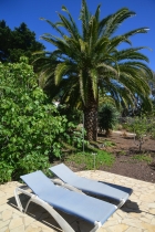 Separate Sonnenterrasse im Garten