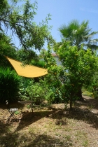 Beschatteter Sitzplatz im Grünen am Zitronenbaum