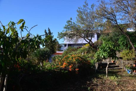 Schön angelegter Garten