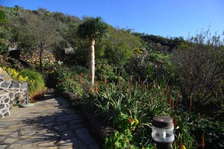 Schön angelegter Garten