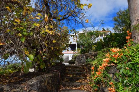 Schön angelegter Außenbereich