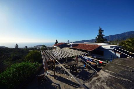 Schön angelegter Außenbereich