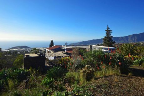 Schön angelegter Außenbereich