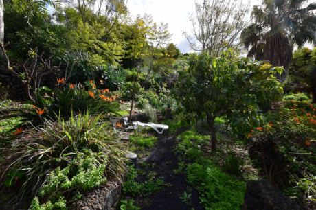 Schön angelegter Außenbereich