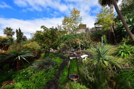 Schön angelegter Außenbereich