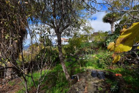 Schön angelegter Außenbereich