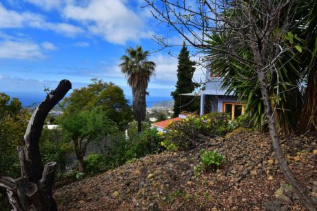 Schön angelegter Außenbereich