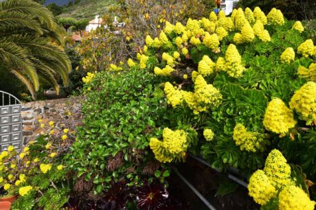 Schön angelegter Außenbereich