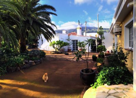 Beide Häuser, Vorplatz