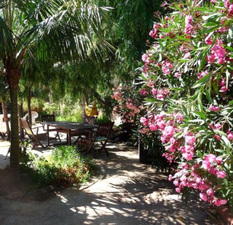 Sehr schön eingewachsener Garten …