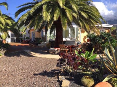 … mit gut angelegten Wegen und schattenspendenden Palmen