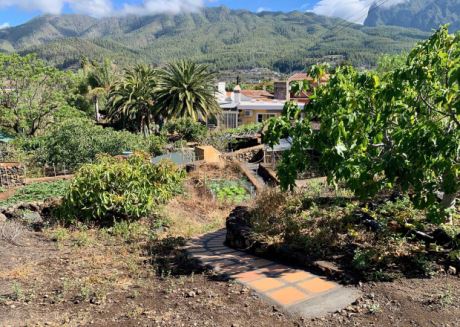 Blick über den Garten aus Süden