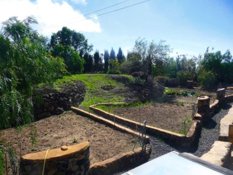 Blick über den Nutzgarten