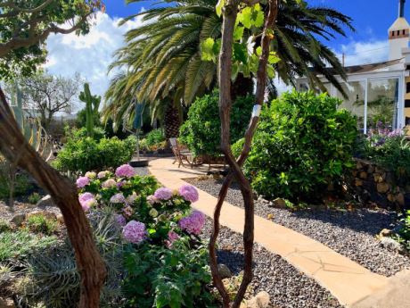 … und auch die Rosen kommen nicht zu kurz