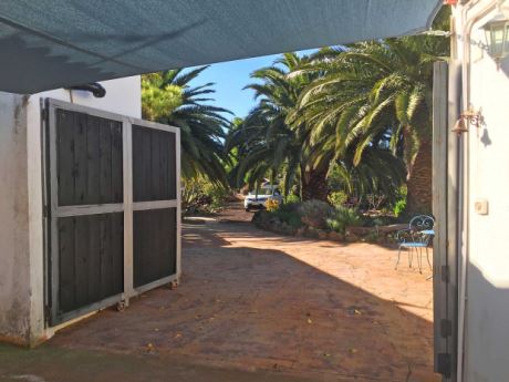 Einfahrt mit beschattetem Parkplatz