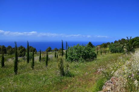 Teilweise terrassiertes Gelände