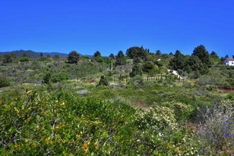 Blick von der unteren Grundstücksgrenze nach Norden