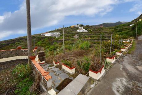 Terrasse / Gärtchen