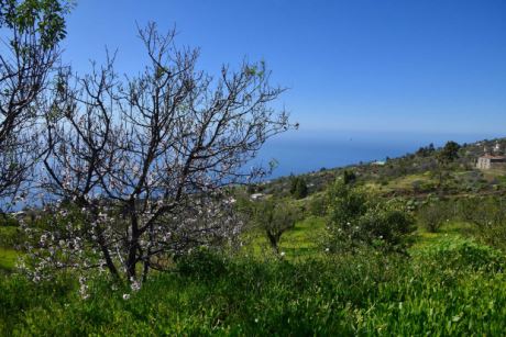 Fantastische Aussicht