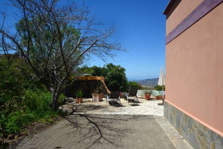 Apartment 2, Terrasse