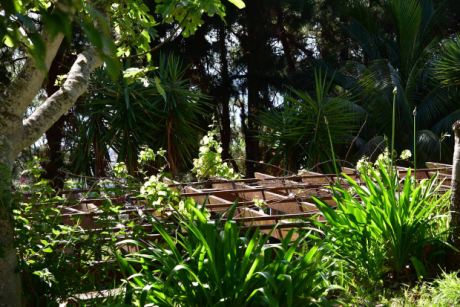Sehr schön angelegter Garten