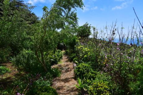 Gartenbereich für Nutzpflanzen – wenn Sie möchten
