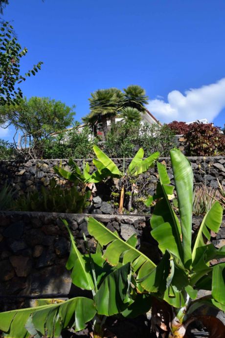 Aufwändig angelegter Gartenbereich