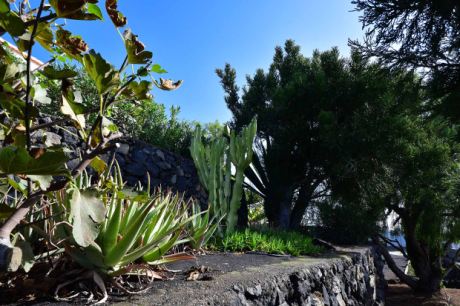 Aufwändig angelegter Gartenbereich