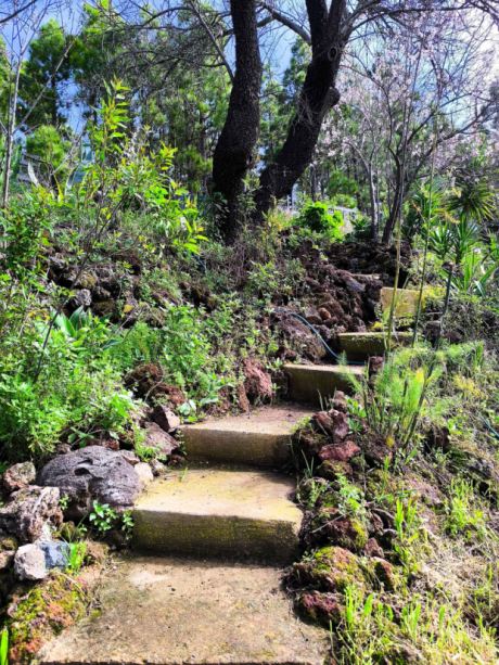 Gut angelegte Gartenwege