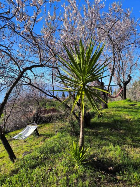 Schöne Gartenterrassen
