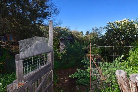 Hühnergehege und Hühnerstall