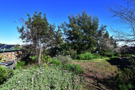Schön angelegter Garten