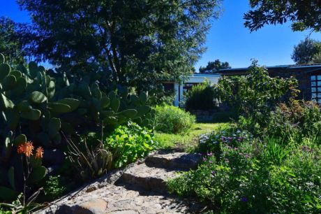 Schön angelegter Garten