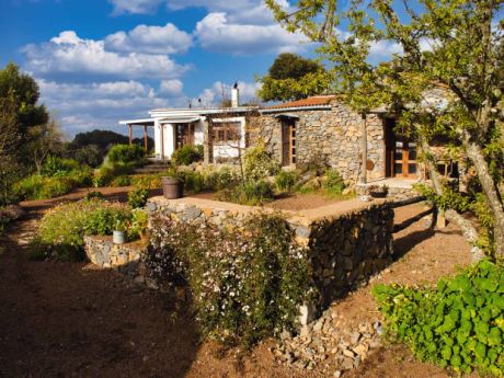 Schön angelegter Garten