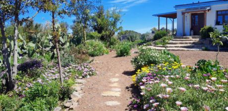 Schön angelegter Garten
