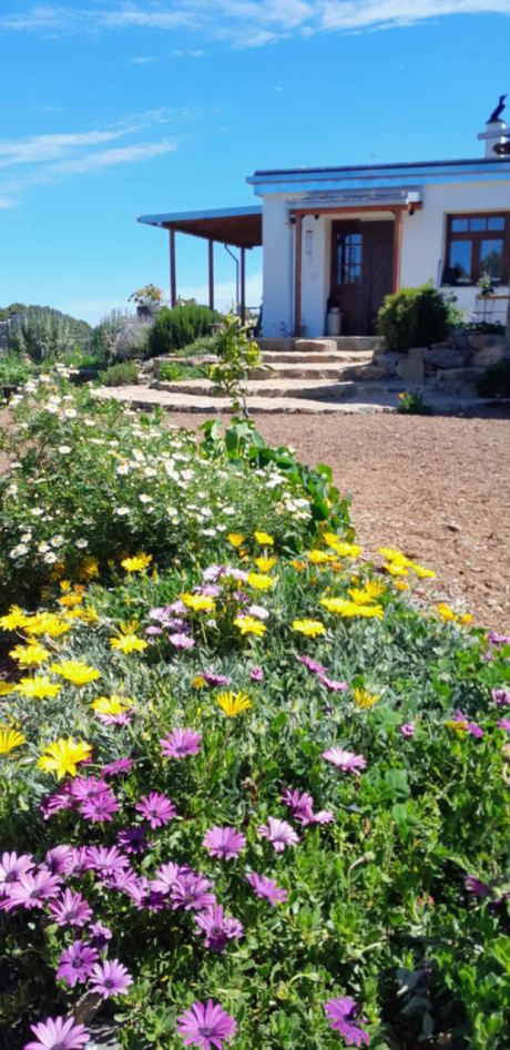 Schön angelegter Garten