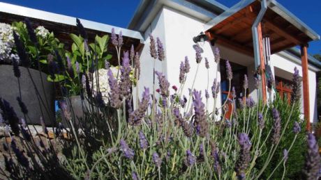 Schön angelegter Garten