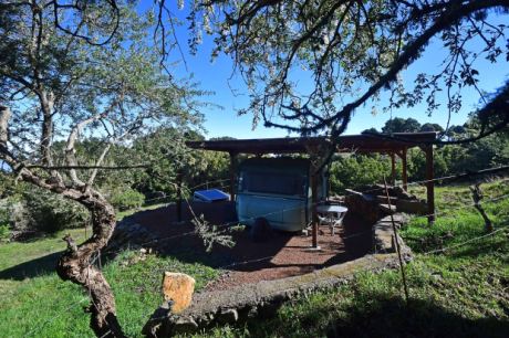 2. Carport für bis zu 2 Wohnwagen (Wohnwagen nicht im Kaufpreis inbegriffen)