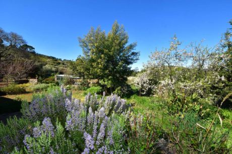 Blühendes Naturparadies