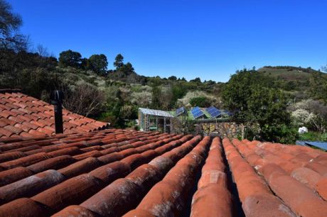 Sehr schön mit historischen Ziegeln sanierte Dächer