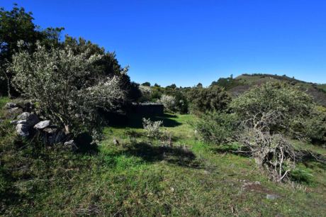 Viel Platz für eigene Projekte