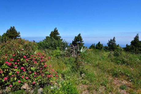 Natur- und Meerblick, unverbaubar