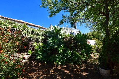 Schön angelegter und eingewachsener Garten