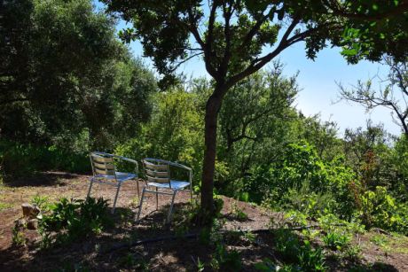 Idyllische Sitzplätze, natürlich beschattet