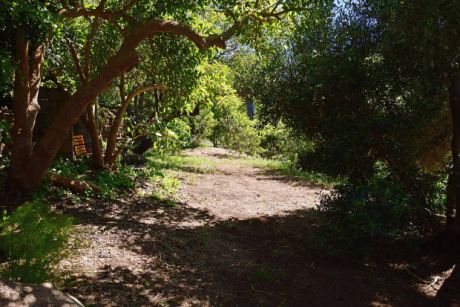 Schün angelegte Gartenwege, immer wieder mit schattigen Sitzplätzen