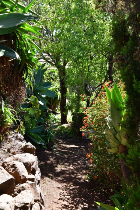 Schön angelegter und eingewachsener Garten