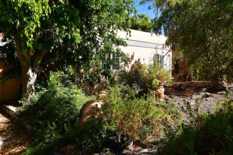 Schön eingewachsener Garten